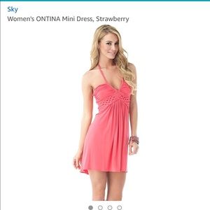Sky Brand Mini Dress